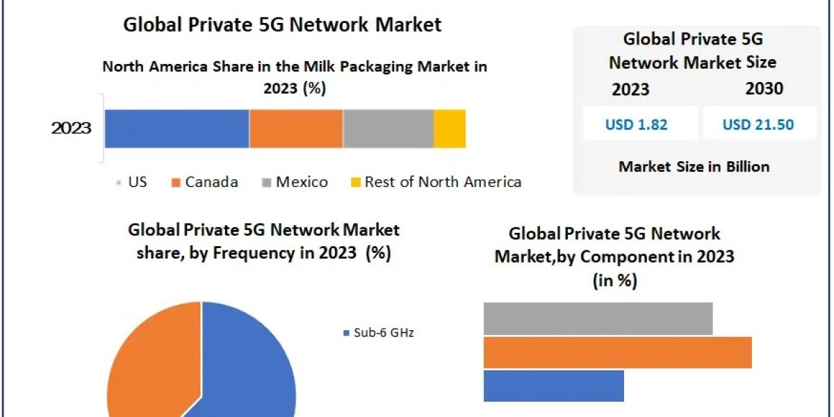Private 5G Network Market Regional Share, Analysis and Forecast Till 2030