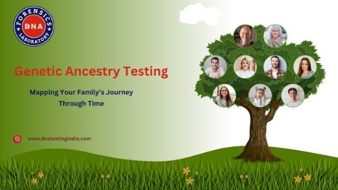 Mapping Your Heritage: The Journey of DNA Testing for Ancestry | Vipon